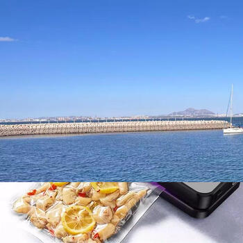 Yusen yi kaide seal di food packaging sealing machine vacuum drying and wet dual-use household plastic pu fully automatic fresh-keeping touch screen large suction - 10 vacuum bags 20x30 cm