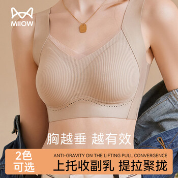 Catman underwear women's new small breast push-up push-up pull-up anti-sagging breast-retracting bra without rims for beautiful back