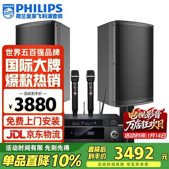 Philips (philips) css1633 home ktv audio set singing complete equipment karaoke audio 10-inch set professional karaoke home stage performance speakers