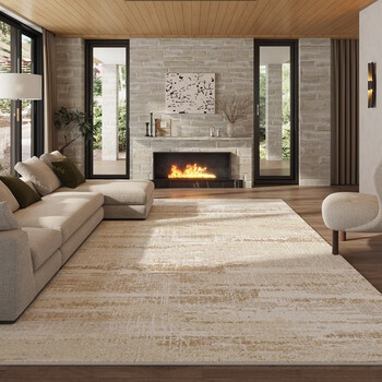 Lishi light luxury sofa coffee table blanket sofa household 2025 new simple short velvet bedroom floor mat coffee table blanket dirty resistant jinhui gradient shadow 01 300cm*400cm