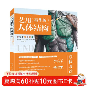 Human body structure for art (essence version)