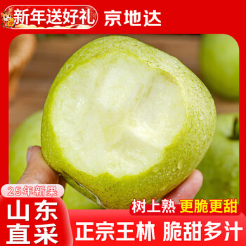 Jingdida shandong wanglin apple fruit fresh holiday gift net weight 8.5 jin single fruit 85mm + direct shipping from the source