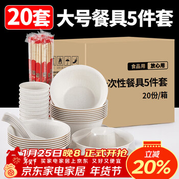 Youao disposable tableware set for 20 people, plates, bowls, chopsticks, cups and spoons, large thickened 5-piece set for partying, no-wash
