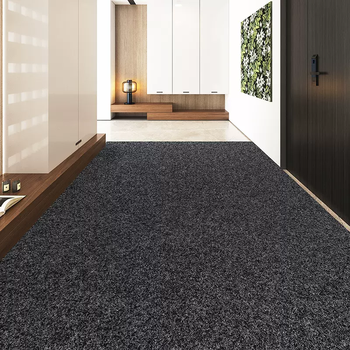 Yusenyi door mats indoor high-end entrance door mats non-slip and stain-resistant no-wash household door mats tpe dark gray velvet polypropylene silk 100x100cm