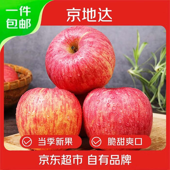 Jingdida shaanxi luochuan red fuji apple, net weight 8 pounds, single fruit 200g+, fresh fruit, gift giving, delivered directly from the source