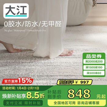Dajiang kunlun snow mountain glue-free carpet living room wash-free waterproof light luxury high-end french bedroom sofa 160x240cm