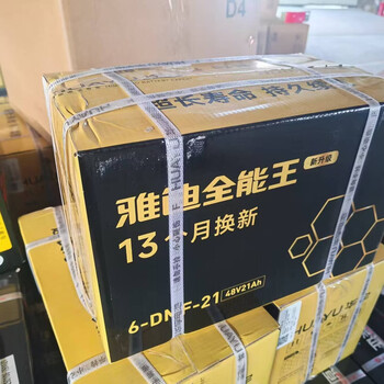 Yadi 2026 new national standard electric vehicle electric bicycle c09 smart electric vehicle lightweight transportation battery vehicle yadi original battery 48v21ah