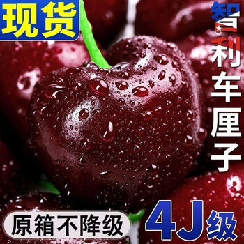 Qingwu original box ready stock chilean imported cherries fresh fruit lapins large cherries 3 gifts 4j 5 catties (net weight) only original box gift box sold nitrogen lock fresh stock same day delivery extra large fruit 2j single fruit 28-30mm