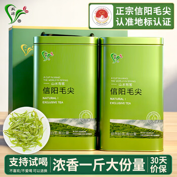 Shuangbei green tea xinyang maojian 500g 2025 new tea canned strong-flavor spring tea for self-drinking and free handbag