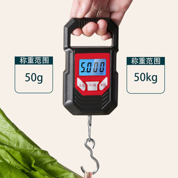 Shantou lincun electronic scale household small mini portable spring scale hook fish merchant portable luggage scale express scale 50kg 50g range-50kg portable scale rechargeable