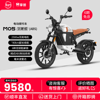 Moshou's new product launches m05 electric motorcycle, straddling electric motorcycle, lithium battery, smart long-range, high-speed mobility moped, commuting adult, retro high-performance electric motorcycle, cosmic silver, player version abs
