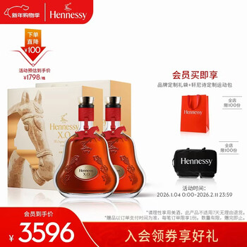 Hennessy (hennessy) xo year of the horse limited edition gift box cognac 700ml 2 bottles