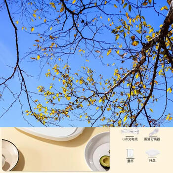 Yusenyi precision gram scale kitchen baking small precision gram scale household food scale food scale gram scale high precision 3kg0.1g charging