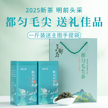 Qian shang langton guizhou special grade duyun maojian 2025 new tea strong flavor mingqian alpine green tea canned 500g gift box one kilogram 2 cans free handbag