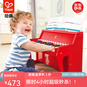 Hape children's piano 25-key wooden multi-function light teaching electronic piano for beginners educational toys children's gift 25-key sound and light teaching desktop piano red 3-12y