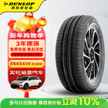 Dunlop (dunlop) car tires 195/65r15 91h enasave ec300 original for corolla/lavida adapted for bora