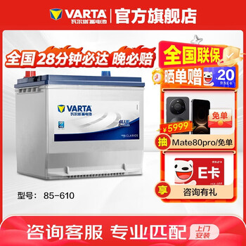 Varta car battery blue label 86-610 buick dodge chevrolet jeep yongyuan trade-in