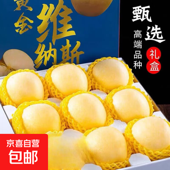 Shandong yantai venus apple gift box golden fuji apple gift box 9-12 fruits 4.5 jin-selected fruits in gift box