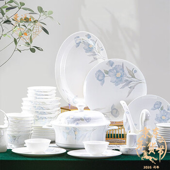 Manyuan jingdezhen underglaze color 2026 new ceramic tableware high-value dish set housewarming microwaveable dishwasher spring molan 10-person configuration 62-piece set