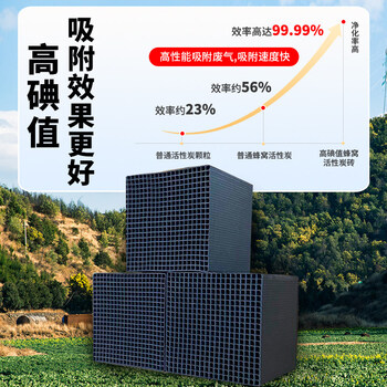 Shantou lincun activated carbon adsorption box pp deodorization environmental protection box paint mist purification equipment exhaust gas treatment secondary dry dry wiping filtration passed environmental impact assessment