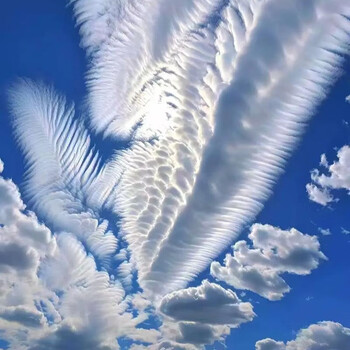 Shantou lincun men's special bathing tool plus coarse sand bath flower exfoliation stone ene bathing