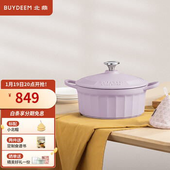Buydeem enamel pot, cast iron stew pot, soup pot, household soup and stew pot, multi-functional pan, induction cooker hot pot, roland purple | stew pot 22cm