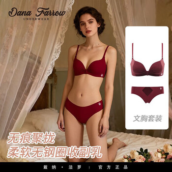 Dana farrow brand 2026 new wire-free bra set sexy push-up small bra to close side breasts seamless underwear for women burgundy bra + panties 70a (thin at the top and thick at the bottom) one size fits all