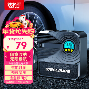 Iron general mini car air pump car tire pump portable bicycle basketball electric pump p05