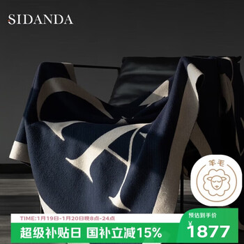 Sidanda french light luxury wool cashmere blanket thickened and warm autumn and winter sofa cover nap blanket 130*200cm