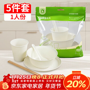 Youao disposable tableware set 5-piece set for 1 person bowls, chopsticks, cups, spoons and plates biodegradable tableware new year's no-wash dinner party