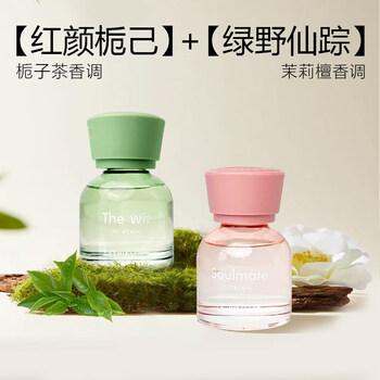 Shantou lincun car aromatherapy long-lasting fragrance internet celebrity car ornament deodorizing fragrance the wizard of oz + hong kong gardenia transparent