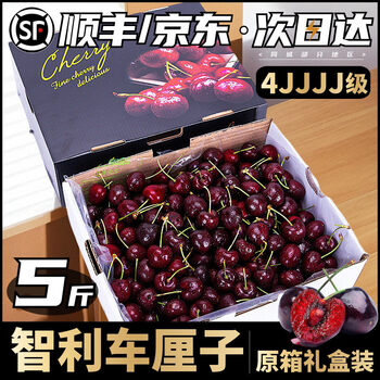 Fat donglai same style 3j grade cherries 5kg chilean fresh fruit gift box full box pregnant women 4j5j grade cherries 2kg (net weight) 2kg gift box gift box random j 26mm (inclusive)-28mm (not included)