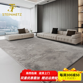 Steinmetz carpet living room light luxury high-end sofa blanket modern simple gray nordic wabi-sabi home study bedroom floor mat bowu 200*350cm 4 people or u-shaped sofa recommended