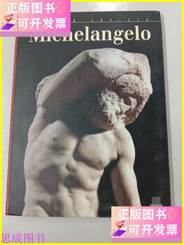 Second hand 90% new michelangelo unknown