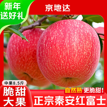 Jingdida qin'an red fuji apple fruit fresh fruit gift gift net weight 8.5 jin single fruit 75mm + direct shipping from the source
