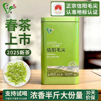 Shuangbei green tea xinyang maojian 250g 2025 new tea canned strong-flavor spring tea for self-drinking half a catty large portion
