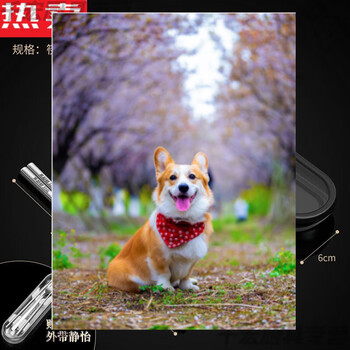 He jiagong german quality 316 stainless steel chopsticks and spoon set household single portable tableware student storage box meal black 316 box + chopsticks + spoon stainless steel are all 316 stainless steel