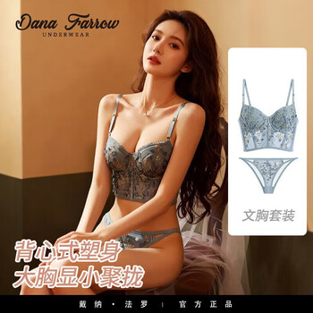 Dana farrow brand sexy lace bra for women with large breasts and small women push-up bra french underwear vest bra set haze blue (set) s (32/70ab/65c) one size fits all