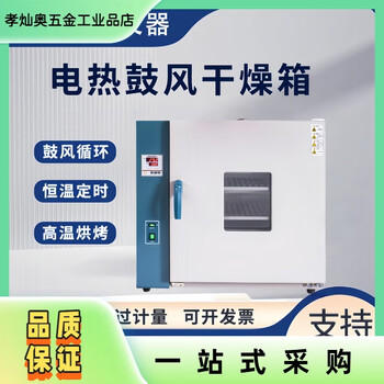 Jiangcheng laboratory oven electric blast drying oven industrial drying oven small constant temperature oven high temperature test chamber laboratory volume 640 liters can be measured galvanized
