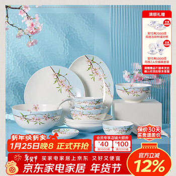 Magalonte annual party gift yuhuaxuan tableware complete set of light luxury chinese bone china dinner plates household dishes and cutlery tableware for 4 people gift packaging 20 pieces
