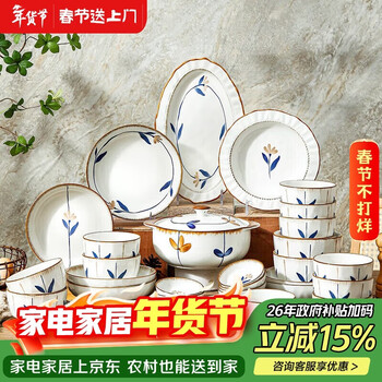 Yuhang underglaze color ceramic tableware set, bowls and plates, lanting sequence 52-head color box, wedding housewarming gift