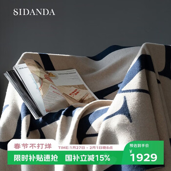 Sidanda french light luxury wool cashmere blanket thickened and warm autumn and winter sofa cover nap blanket 130*200cm
