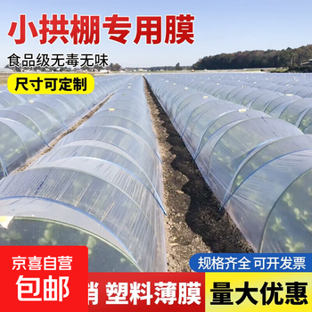 Transparent agricultural plastic film for growing vegetables, small shed film, mulching film, special film for greenhouse planting, plastic paper for heat preservation and cold protection, 4s special film for small shed, 2 meters wide and 10 meters long