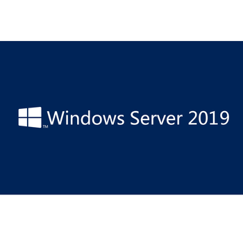 Server operating system winsvr stdcore 2022 chns olp 16licnl sngl english version