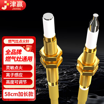 Jinying gas stove ignition induction needle double-wire electromagnetic couple induction needle igniter gas stove universal repair ignition switch extended set