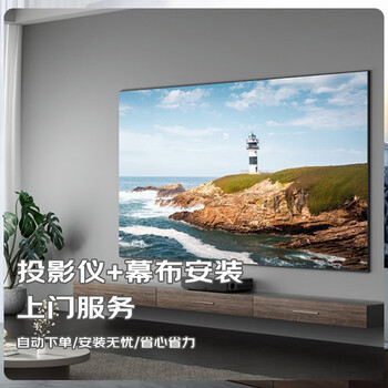 Projection tv and screen door-to-door installation services l