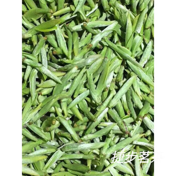 Yanhai mid-autumn festival 2024 wenzhou yongjia new tea mingqiantou bulk green tea healthy green tea 500g special grade wu niu zao