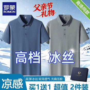 Luo meng father's day gift, two-pack ice silk short-sleeved t-shirt polo shirt for men, summer thin quick-drying suit, haze blue, medium gray, high-end ice silk, 2-pack xl, recommended 125-140 catties