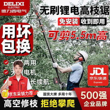 Delixi electric rechargeable high branch saw retractable electric extended pole lithium electric saw for pruning branches garden fruit trees single hand saw electric chain saw can saw 5.5 meters high 2.0 single electric + 3 chains standard 6 inch saw contact customer service for free upgrade to 8 inch saw