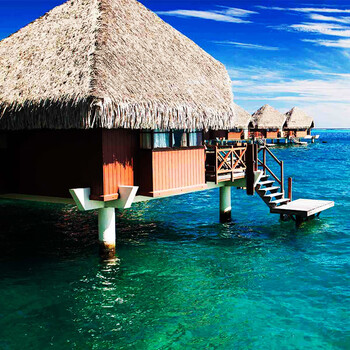 Sri lanka maldives 9 days and 7 nights group tour st. mary's church sigiriya lion rock holy city kandy galle castle stilt fisherman seaside train january 20